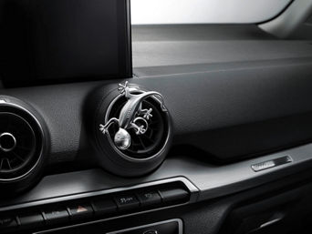 https://media.audi.com/is/image/audi/country/br/pt/informacoes-ao-consumidor/oficina-portas-abertas/oficina-portas-abertas/gecko2.jpeg