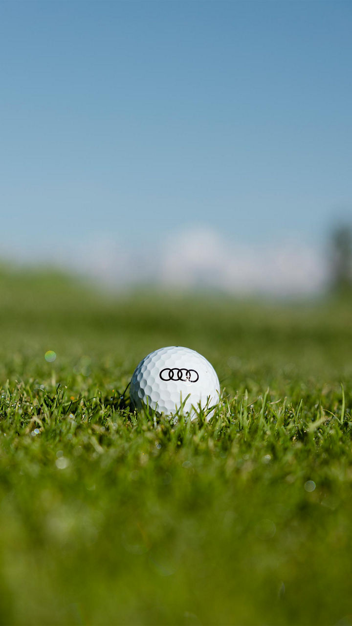 Audi quattro Cup