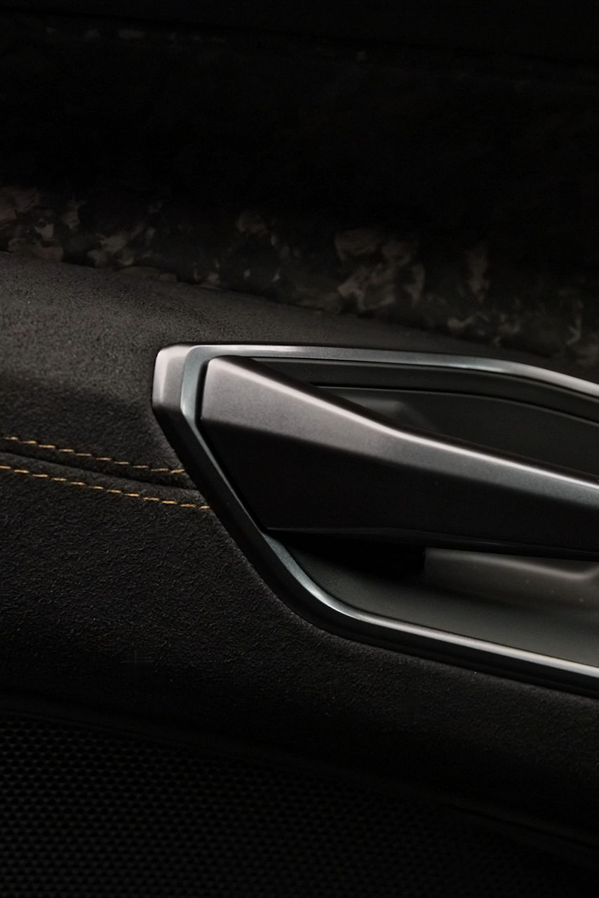 Türgriff und Teile der Türverkleidung des Audi RS e-tron GT performance.