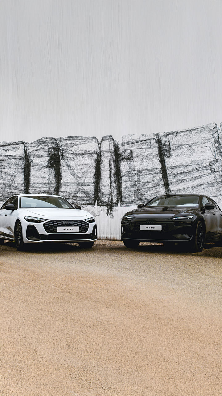 Audi laoautod