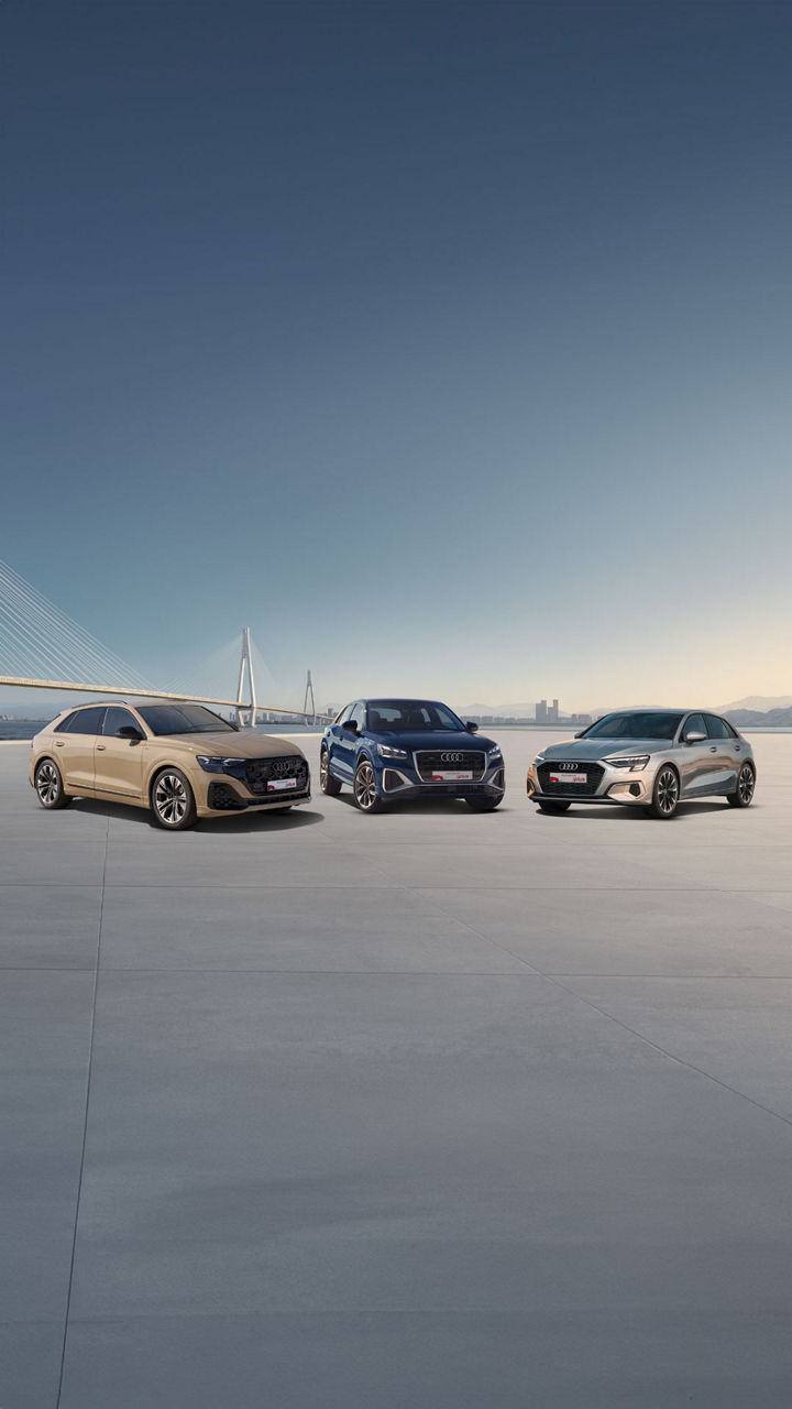 Foto de las ofertas de Audi Opción para modelos Audi de ocasión, km 0 y segunda mano.