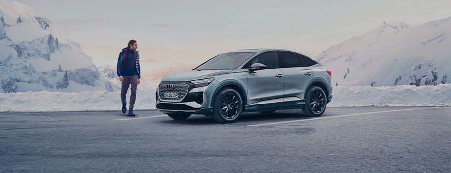 Audi Winter Check