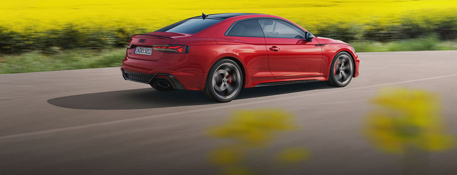 Audi Spring Check