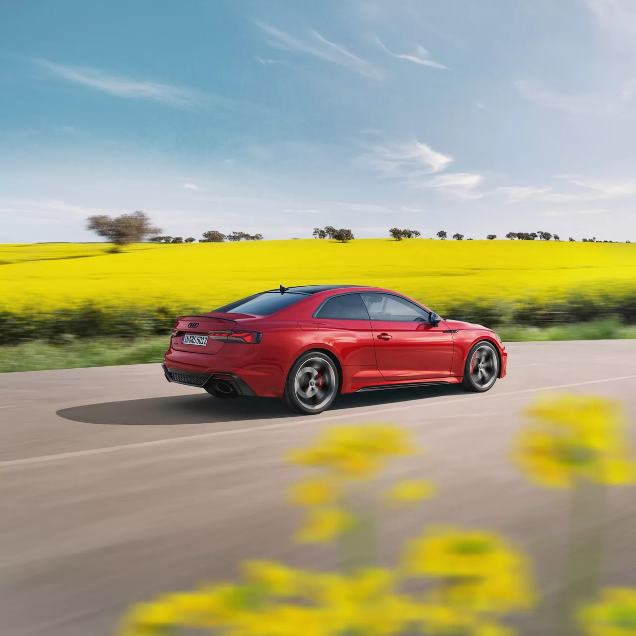 Foto de la revisión de primavera Audi Spring Check.