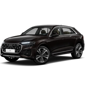 Audi Q8 TFSI e