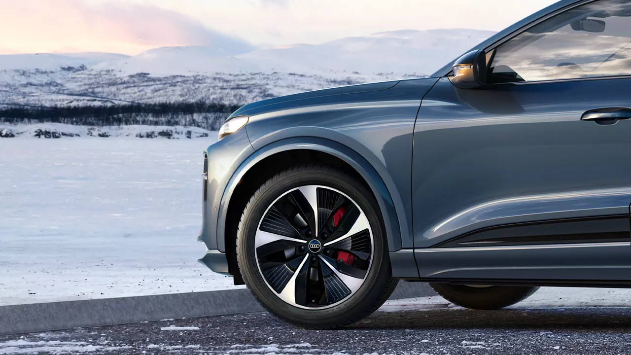 Inquadratura in primo piano delle Ruote Complete Invernali Audi, con un paesaggio innevato di montagna sullo sfondo.