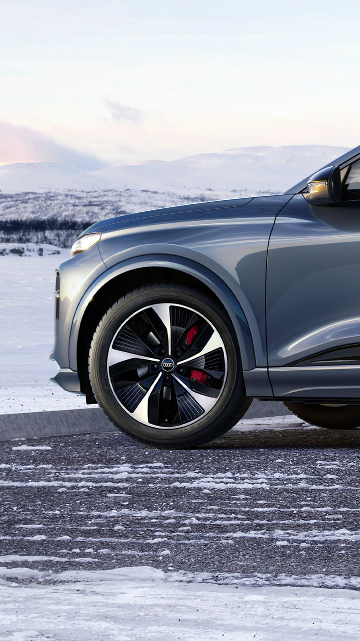 Inquadratura in primo piano delle Ruote Complete Invernali Audi, con un paesaggio innevato di montagna sullo sfondo.
