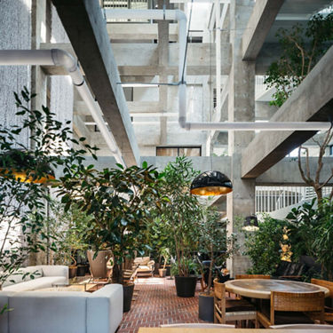 the LOUNGE