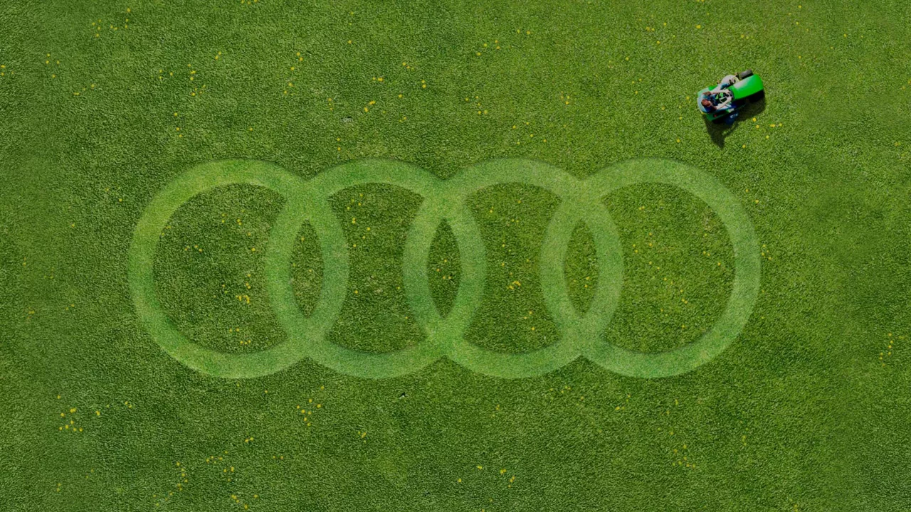 Audi rings cut into grass for the Summer Event