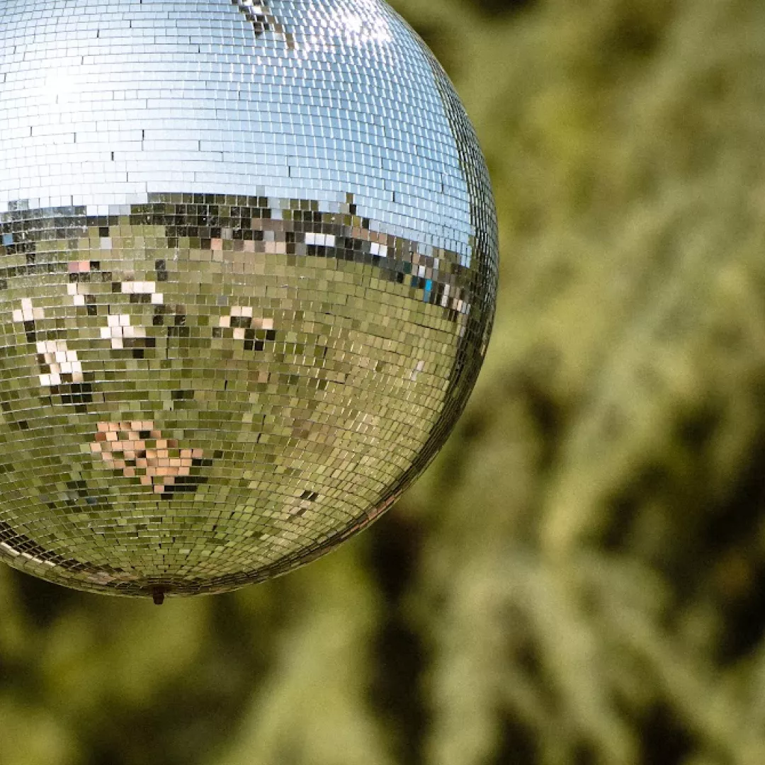 Disco ball hanging with trees in the background