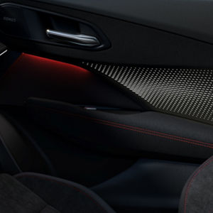 The inside of the door with ambient lighting package in red.