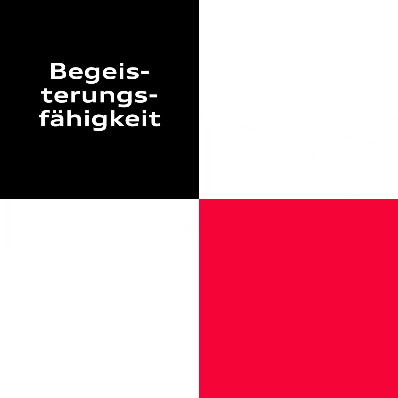 Begeisterungsfähigkeit, Engangement, Teamgeist