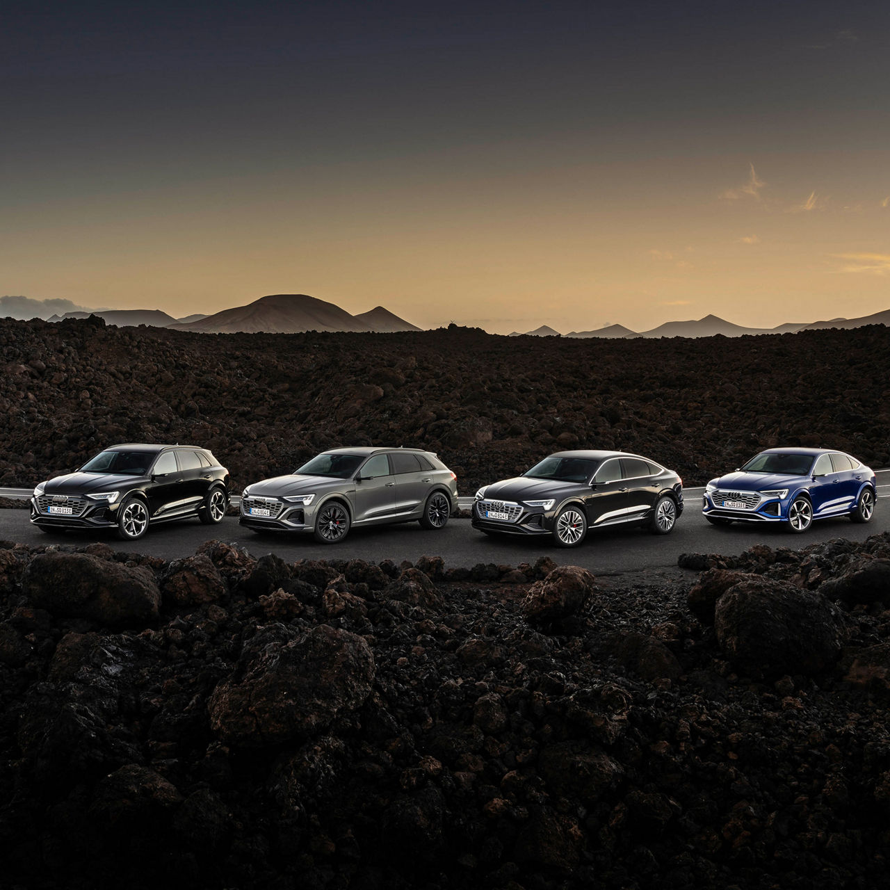 Stand shot, Audi SQ8 e-tron color: Mythosschwarz Metallic, Audi Q8 55 e-tron quattro color: Chronosgrau Metallic, Audi Q8 Sportback 55 e-tron quattro color: Madeirabraun Metallic, Audi SQ8 Sportback e-tron color: Ultrablau Metallic.