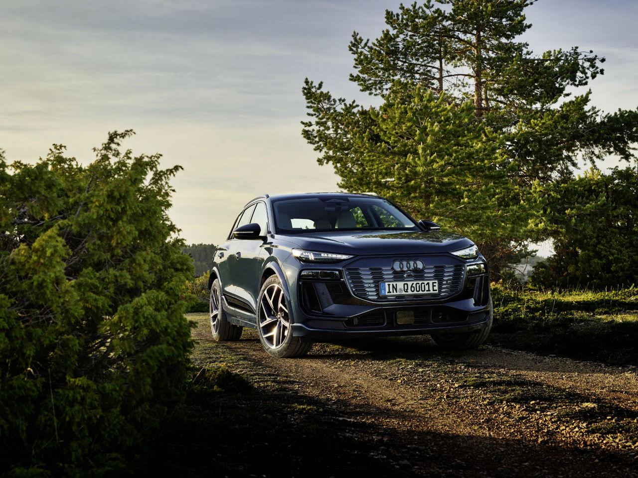 Audi Q6 e-tron between two trees on a forest road