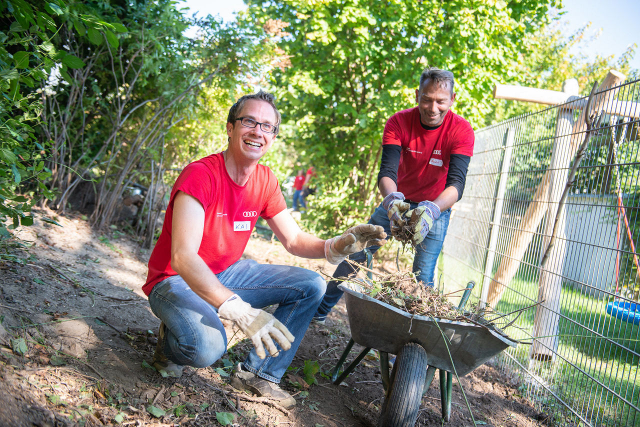 Two Audianer wearing work gloves stand next to a sack barrow and collect wood and leaves from the ground, which they throw into the sack barrow.