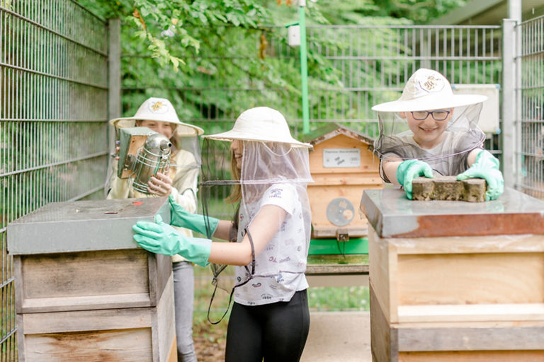Children work outside on bee boxes