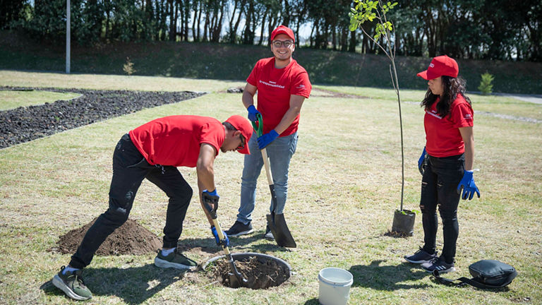 Audi employees planted a total of 210 native trees 