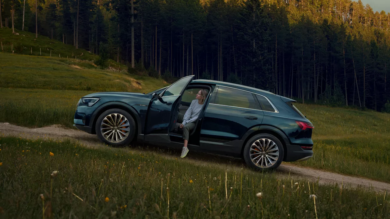 Audi with a woman in the driver's seat is parked on a sloping hillside