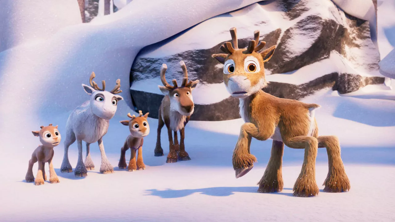 Rentier Nico und seine Familie beobachten die Umgebung im Wald.