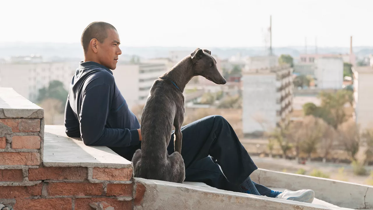 Mann und Hund sitzen nebeneinander auf einer Treppe