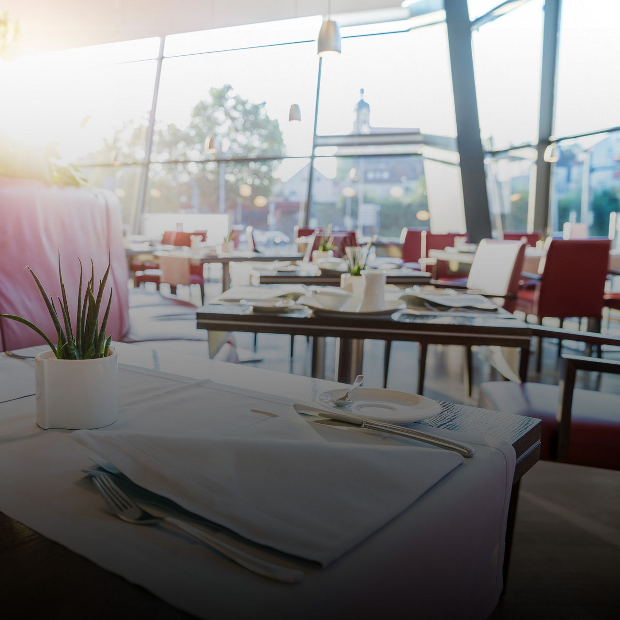 A stylishly laid table in a modern restaurant with red seat cushions and large windows. Sunlight streams through the glass front and creates a warm, inviting atmosphere.