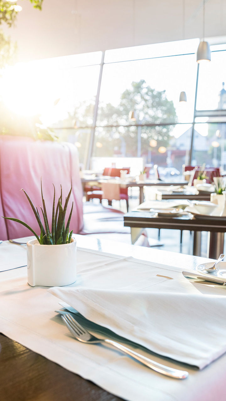 A stylishly laid table in a modern restaurant with red seat cushions and large windows. Sunlight streams through the glass front and creates a warm, inviting atmosphere.