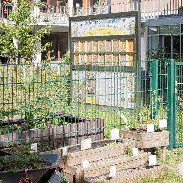 The 'wild bees' of Kaulsdorf