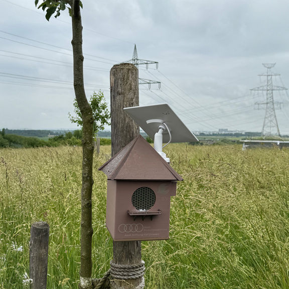 Eine braune Horchbox mit Lautsprechergitter und Solarpanel ist an einem Holzpfahl in einer hohen Wiese befestigt.