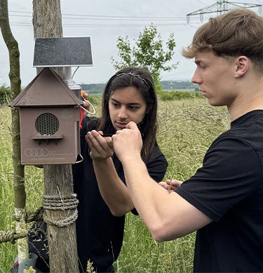 Zwei junge Personen installieren eine solarbetriebene Hörstation in Form eines Nistkastens auf einer Wiese.