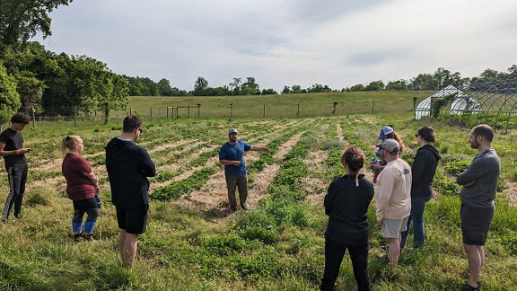 Freiwillige auf einem Feld