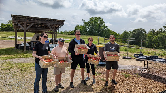 Helfer_innen mit Kisten voller Obst