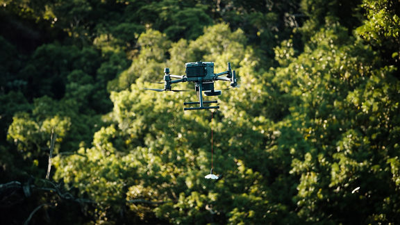 Drone flies through treetops