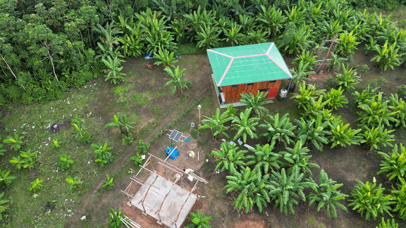Small hut in the jungle