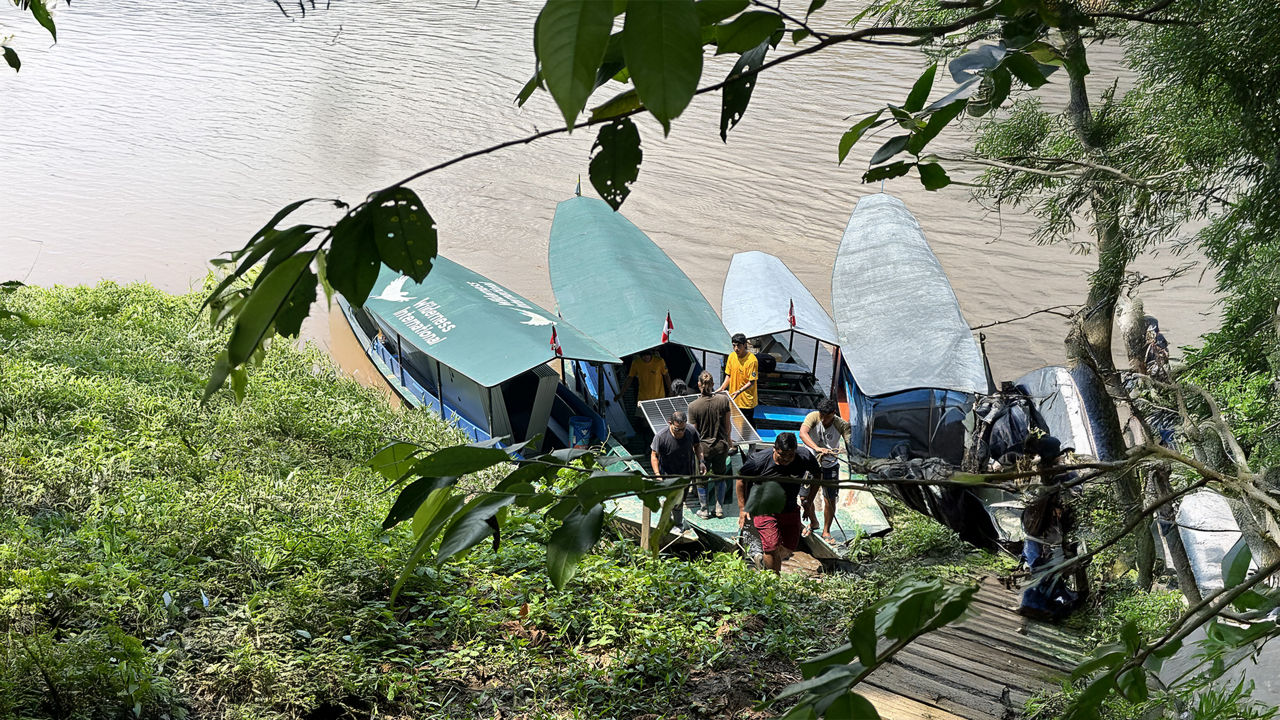 People unloading solar modules from covered boats on the banks of a river, partly hidden by leaves in the foreground.