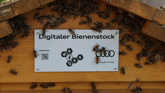 Digital beehive from we4bee