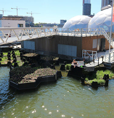 Floating Park im Hafenbecken Rotterdam