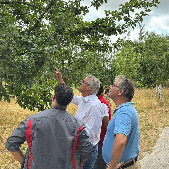 Participants observe fruit trees closely and discuss their observations in the field.
