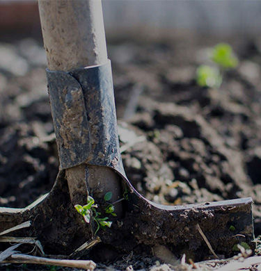 A shovel stuck in the ground