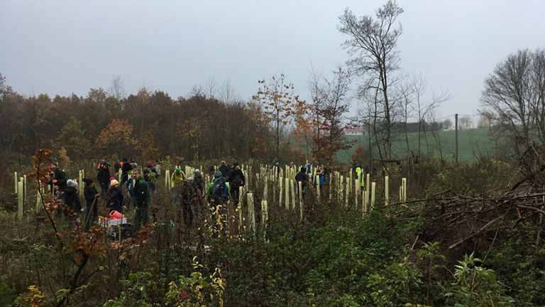 The tree and me campaign - children got to know different trees