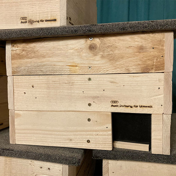 Nahaufnahme von einem Igelhaus