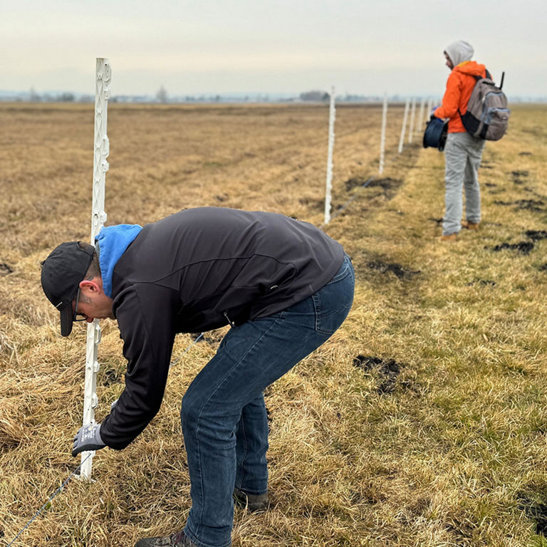 Ein Mann steckt weiße Zaunpfähle auf einem offenen Feld in den Boden, eine weitere Person steht im Hintergrund.