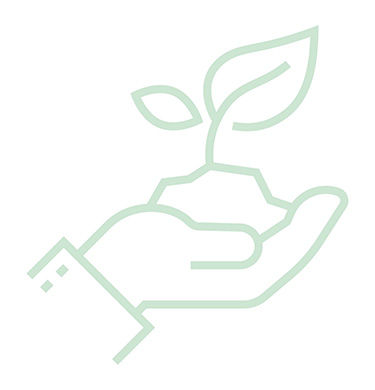 Graphic illustration of a hand holding a seedling