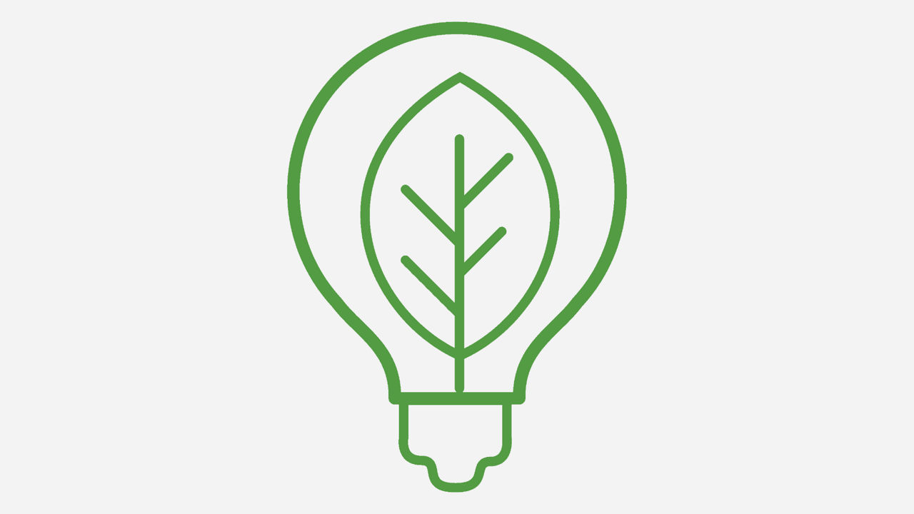 Bulb icon