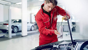 Audi Genuine Oil Filters