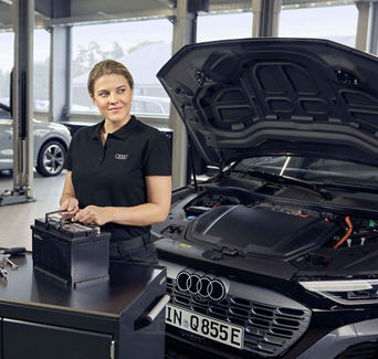 Audi Genuine Batteries