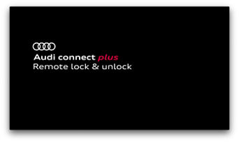 Remote lock & unlock