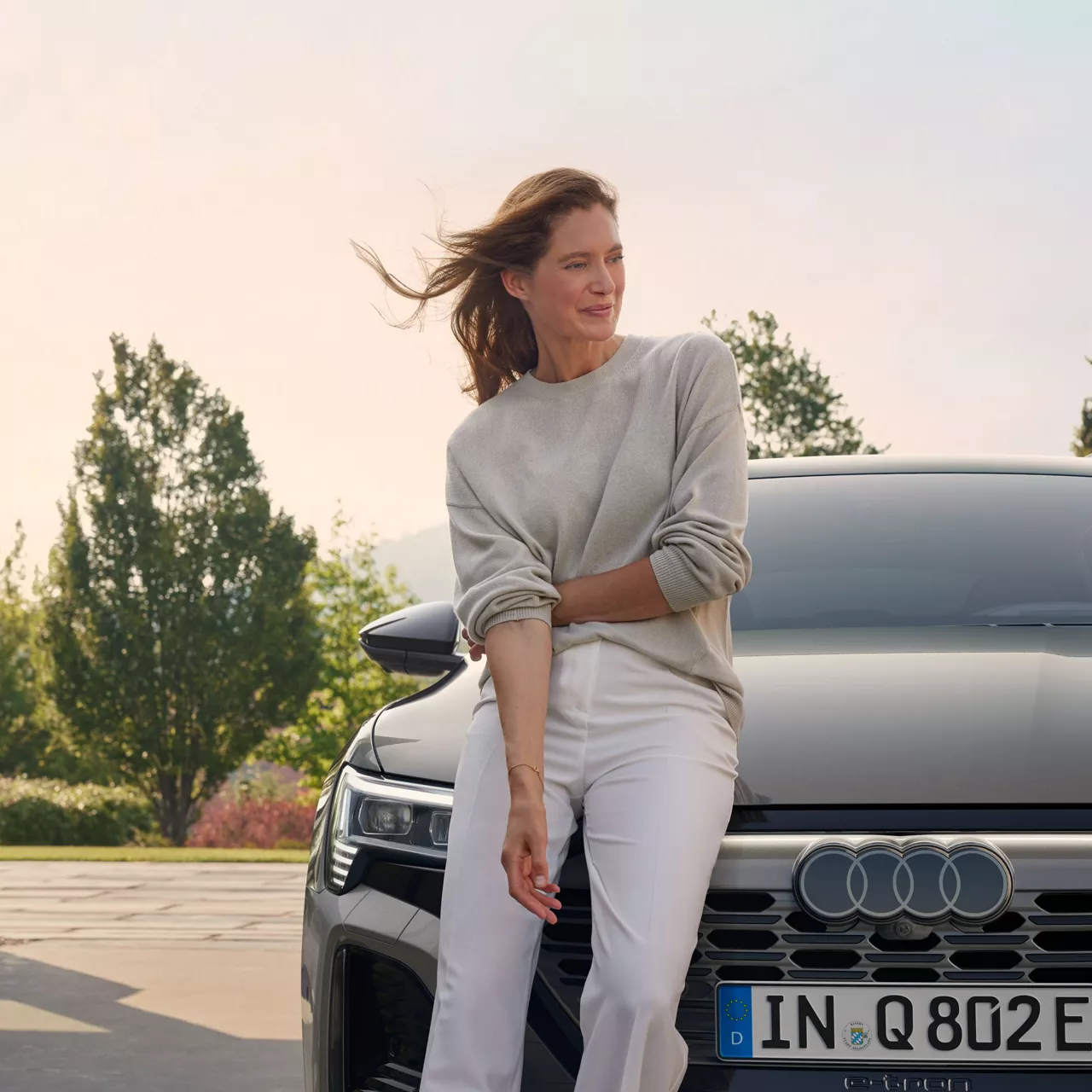 Audi Q8 e-tron