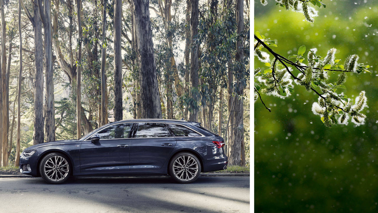 In der Stadt und in der Natur halten die Audi Original Partikelfilter Staub und Pollen aus dem Wageninneren fern und sorgen so für eine entspannte und sichere Autofahrt.