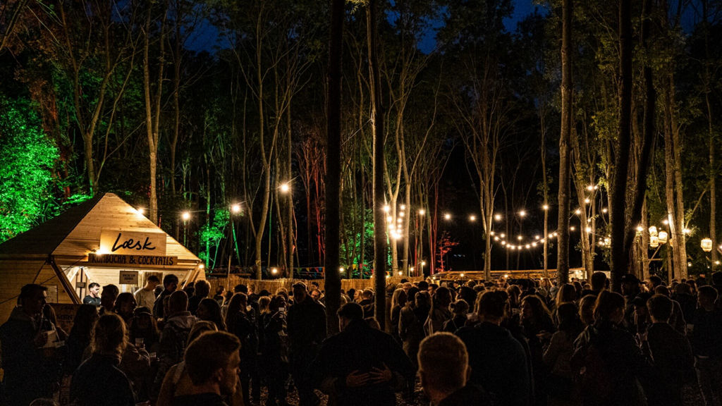 NorthSide festival om aftenen