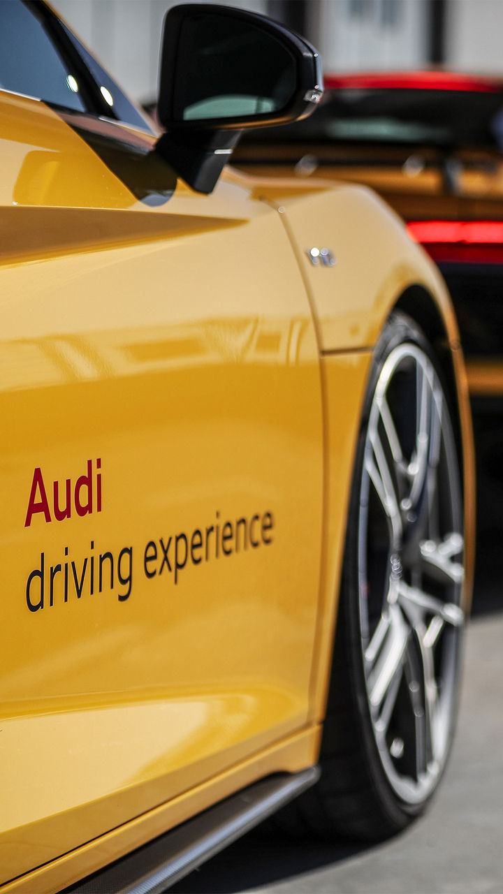 Various yellow Audi R8s parked in a row